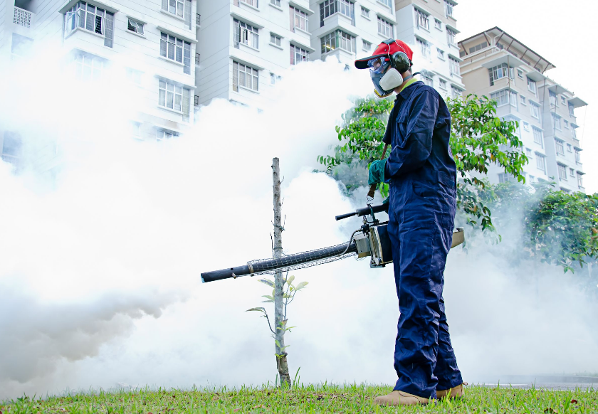 Hire the Best Exterminators For Your Pest Problems