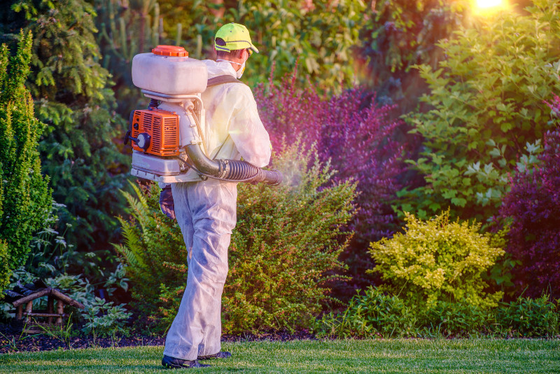 Affordable Lawn Care Services in Louisville, KY, Keep Your Yard Looking Great