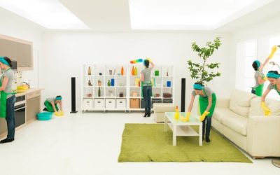 Spring Cleaners Near Me: Transform Your Space with a Deep Seasonal Refresh