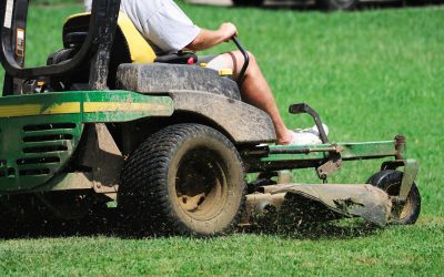 The Benefits of Professional Lawn Service Minneapolis for Busy Homeowners