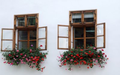 Benefits Of Choosing Wood Windows In Georgetown TX For Lasting Performance